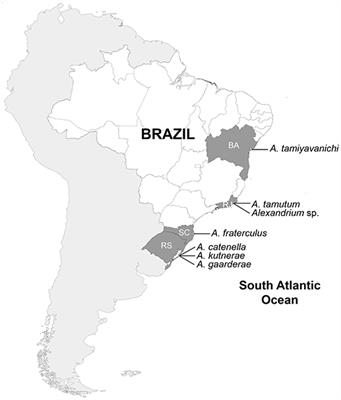 The Genus Alexandrium (Dinophyceae, Dinophyta) in Brazilian Coastal Waters